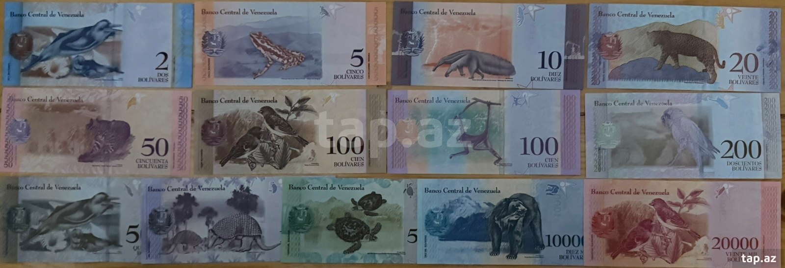 Venesuela bolivarı (2)