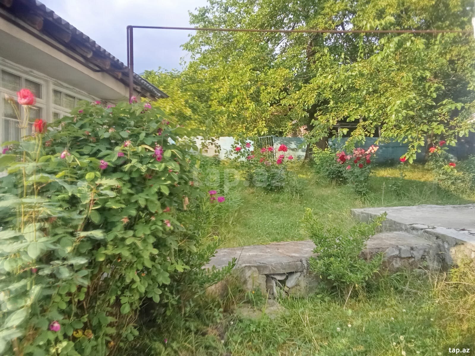 Həyət evi, Şəki ş. (23)