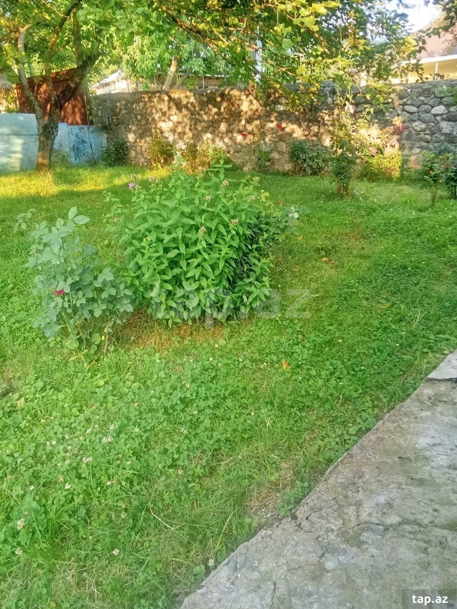 Həyət evi, Şəki ş. (26)