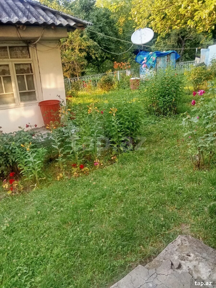 Həyət evi, Şəki ş. (25)
