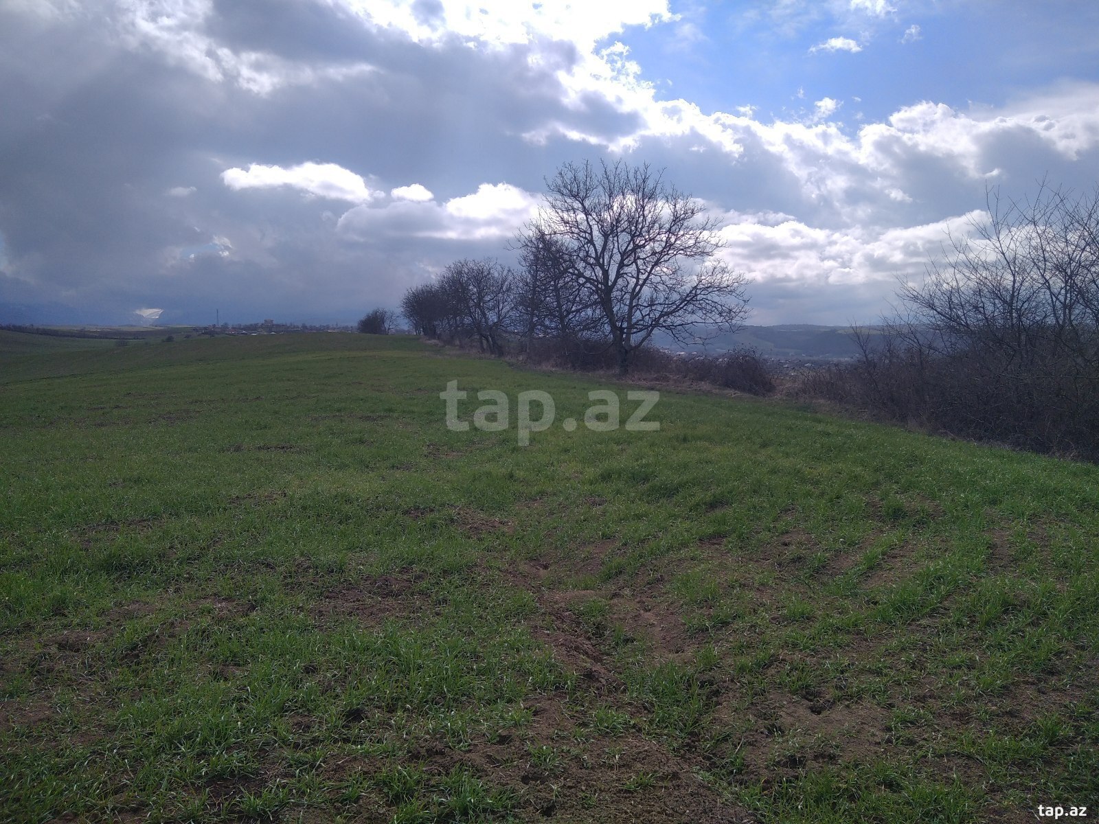 Torpaq satılır, Quba
