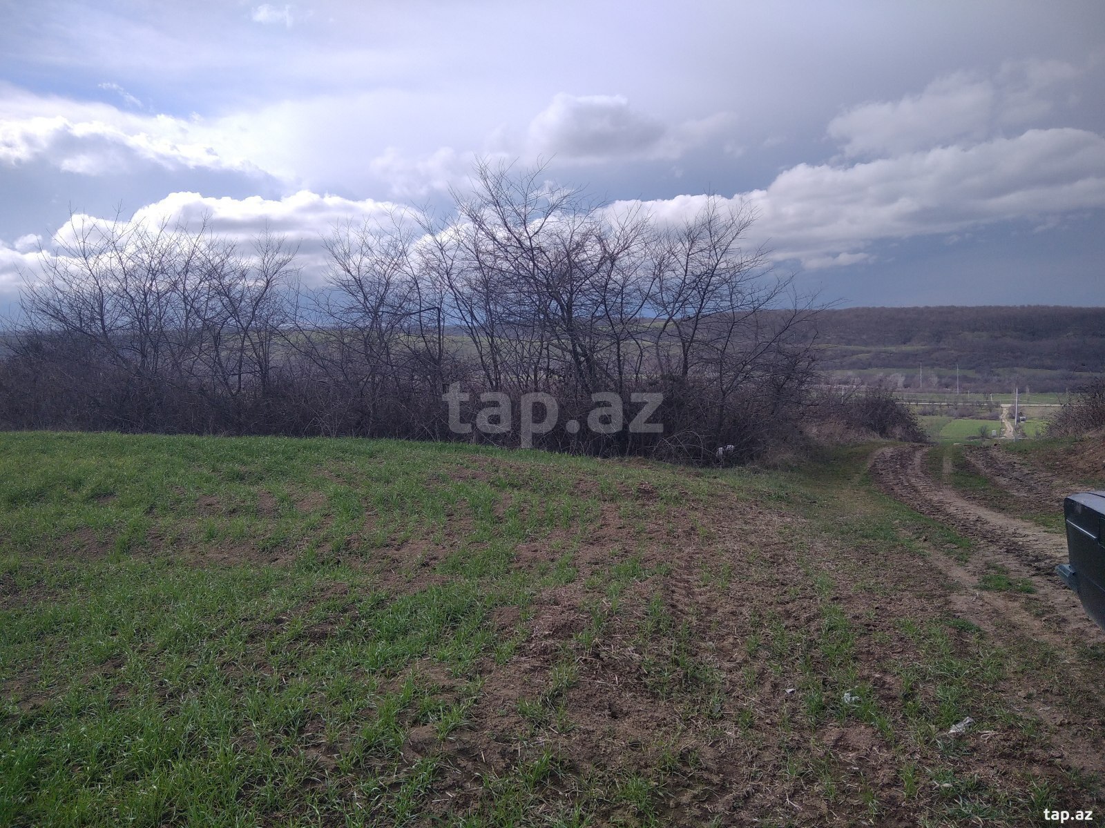 Torpaq satılır, Quba