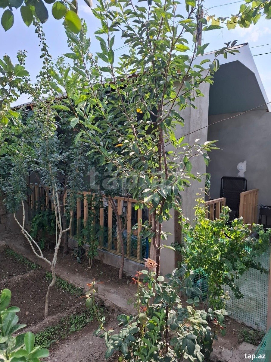 Həyət evi, Binə qəs. (17)