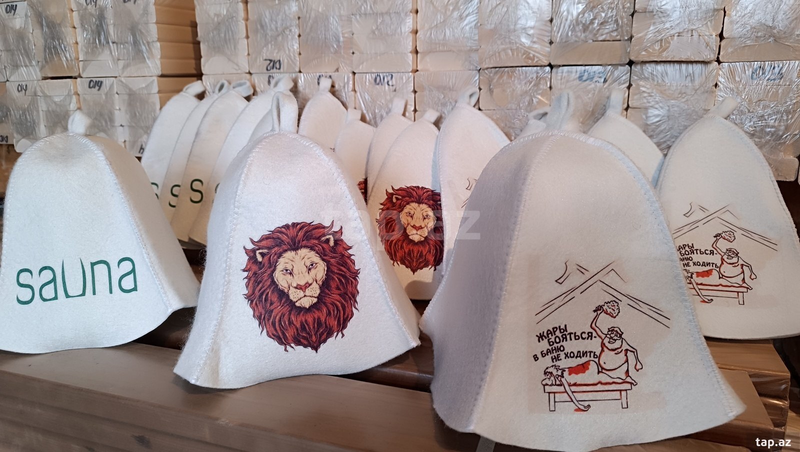 Sauna papağı (3)