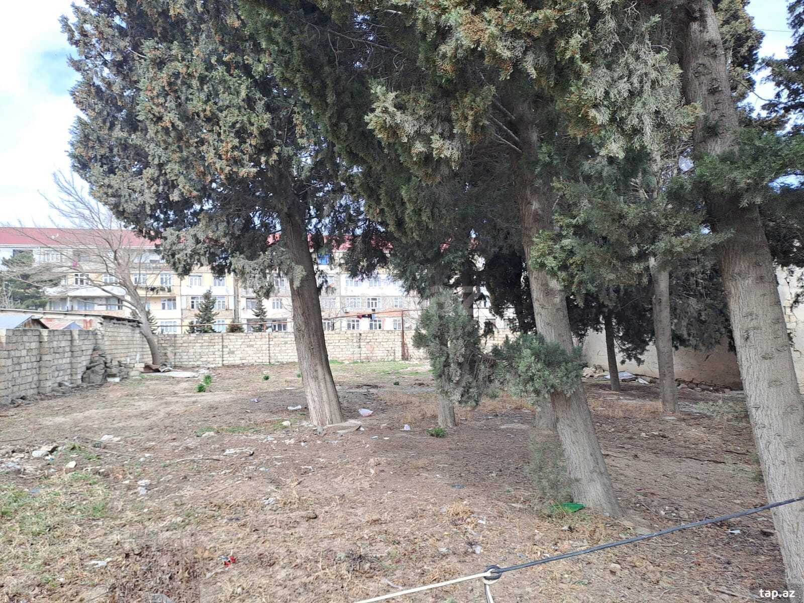 25 sot torpaq sahəsi, Sumqayıt ş. (7)