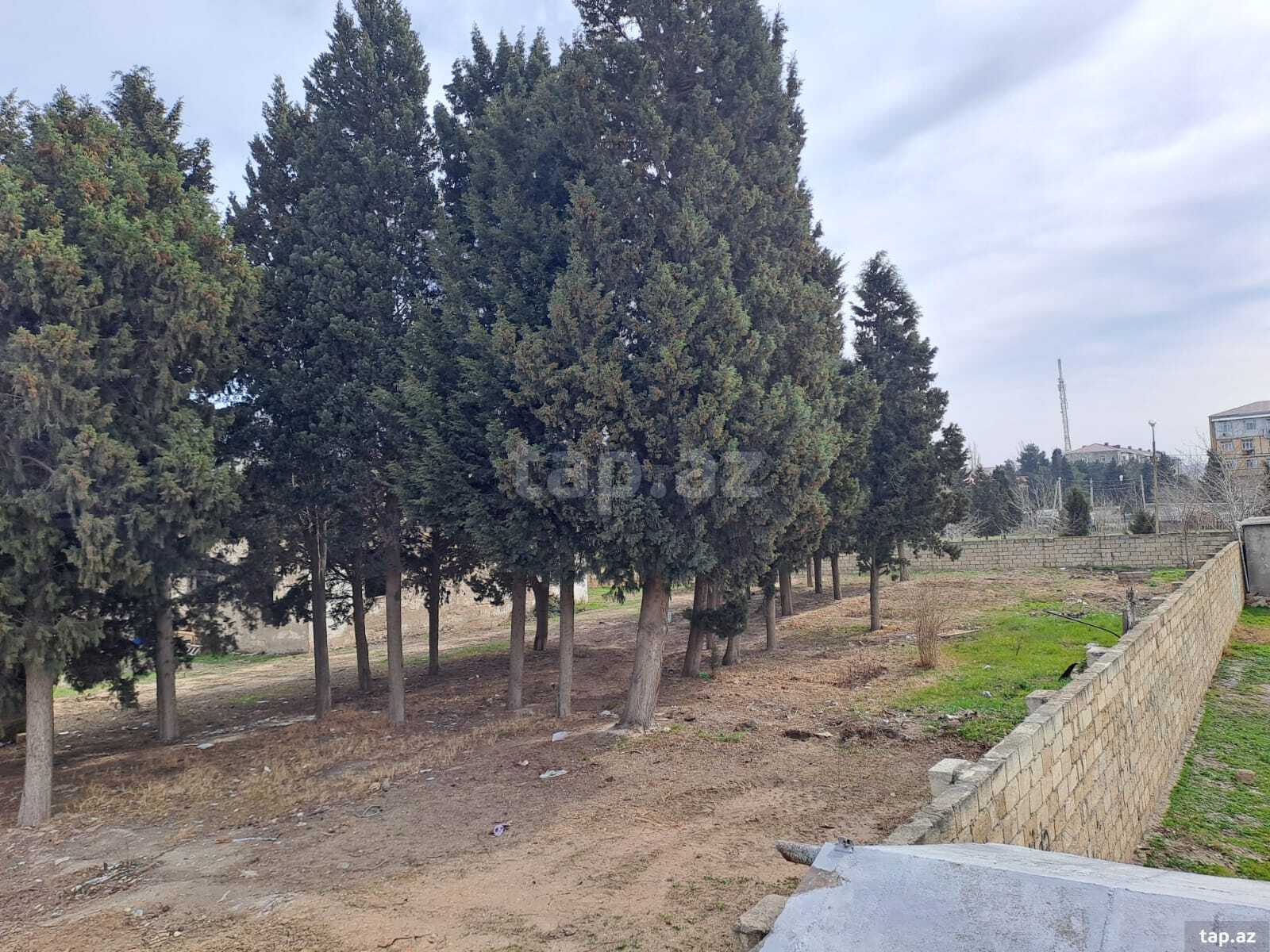 25 sot torpaq sahəsi, Sumqayıt ş. (6)