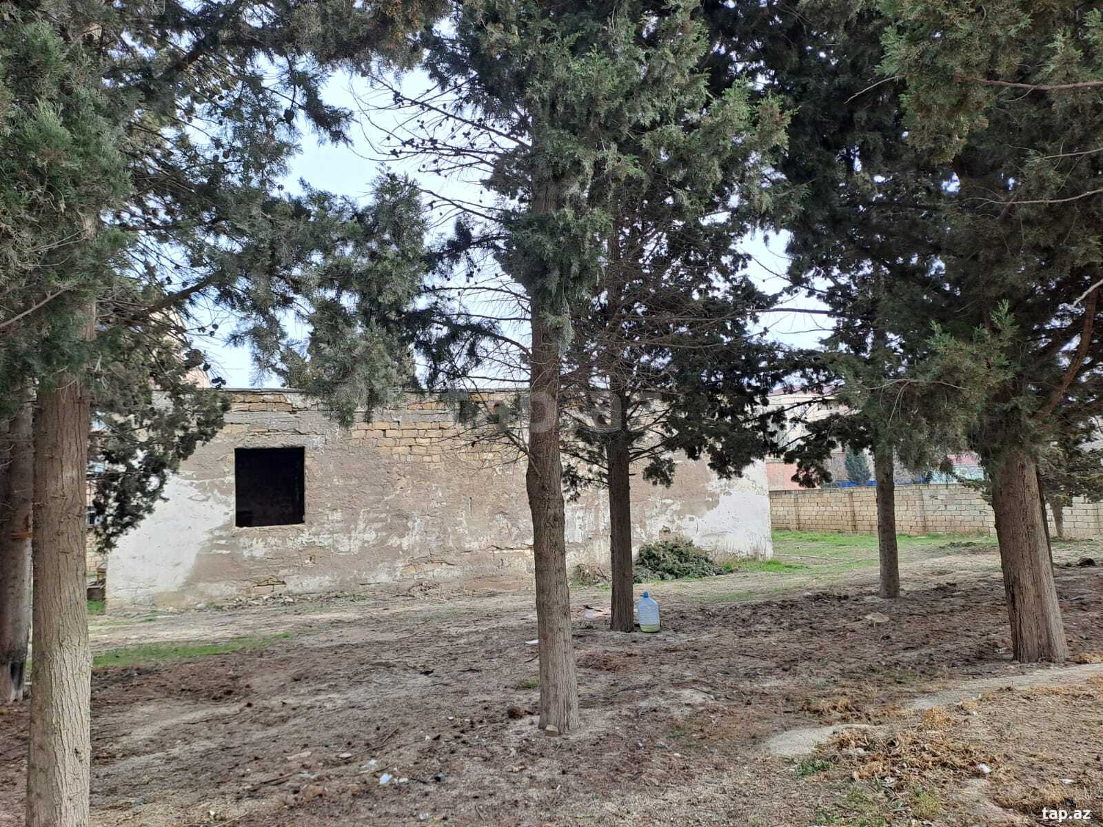 25 sot torpaq sahəsi, Sumqayıt ş. (4)