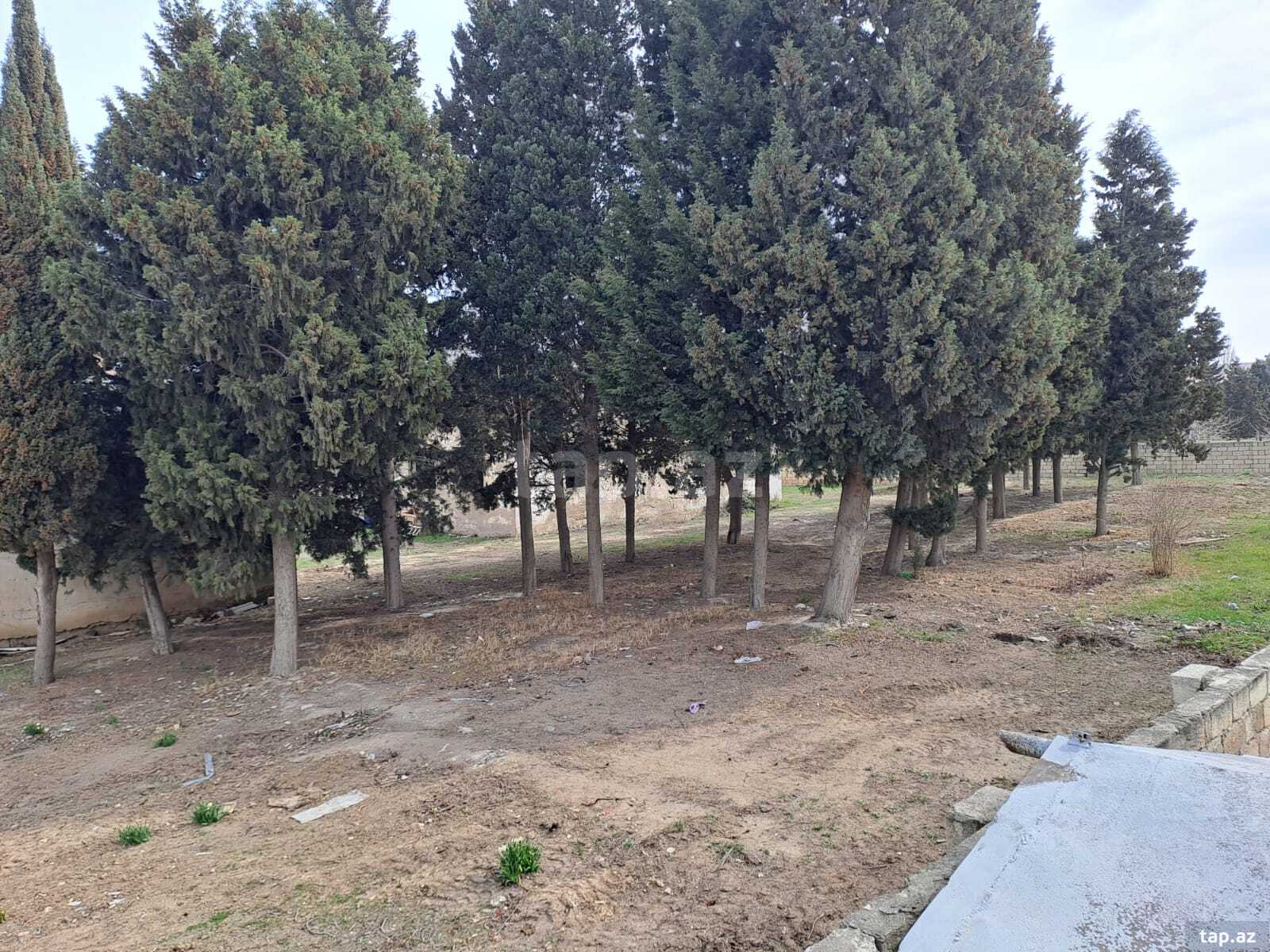 25 sot torpaq sahəsi, Sumqayıt ş. (11)