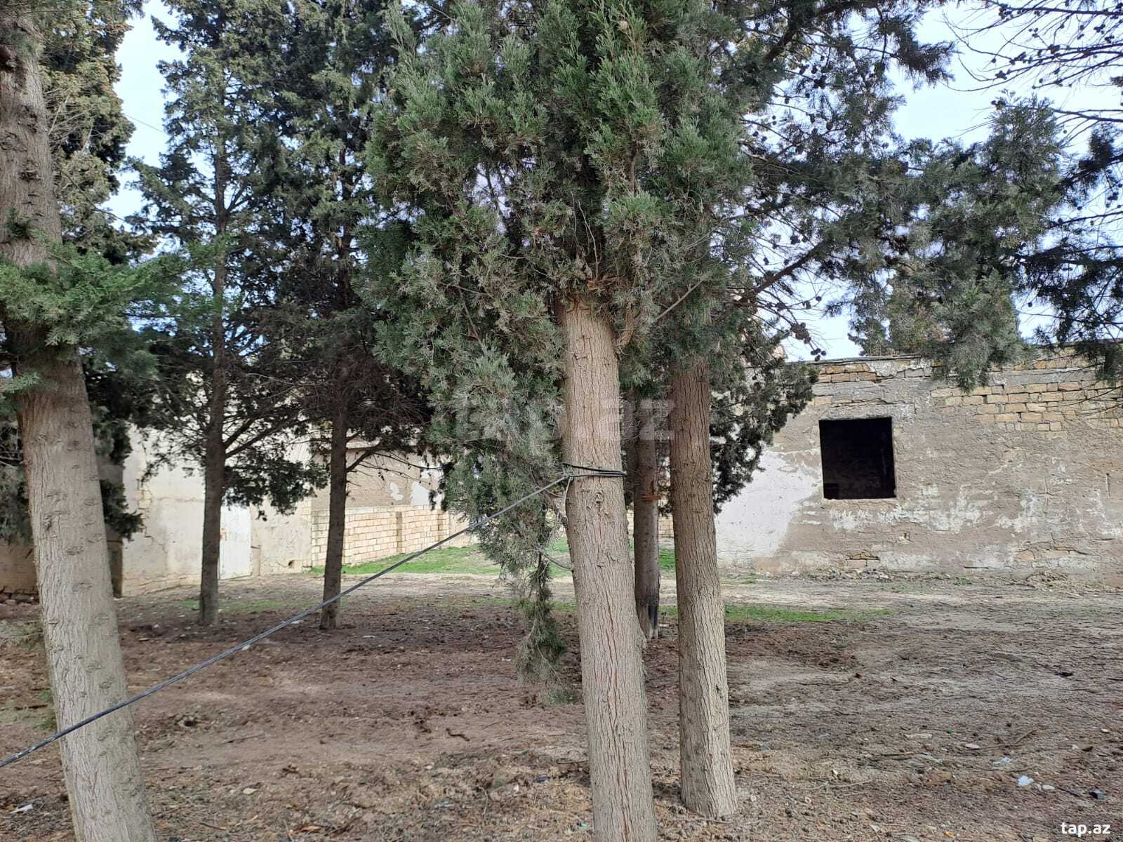 25 sot torpaq sahəsi, Sumqayıt ş. (8)