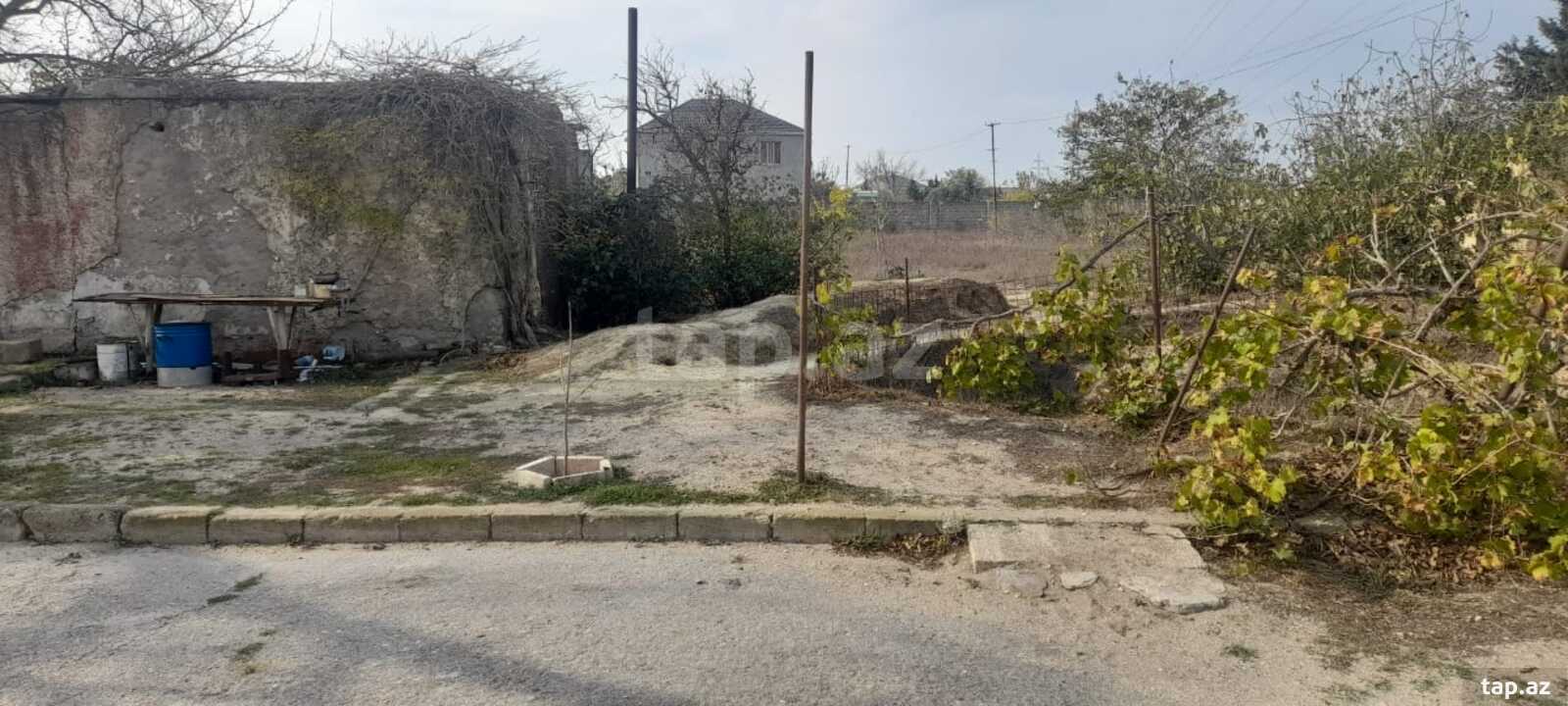 Bağ evi, Buzovna qəs. (3)
