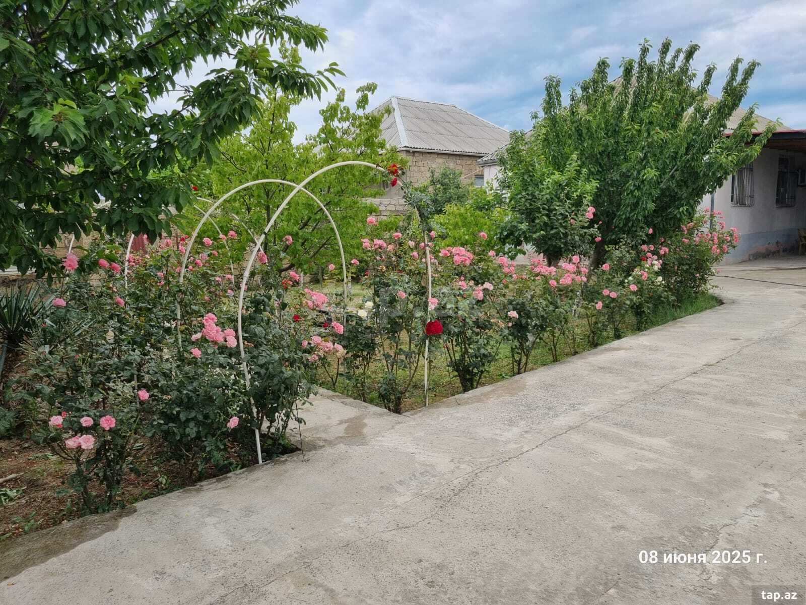 Həyət evi, Savalan yaşayış massivi (2)