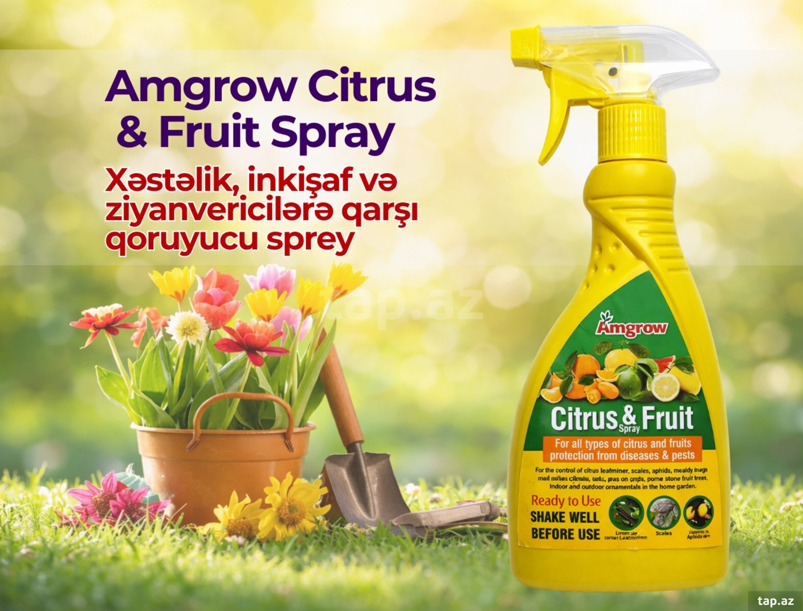 Amgrow Citrus & Fruit Spray