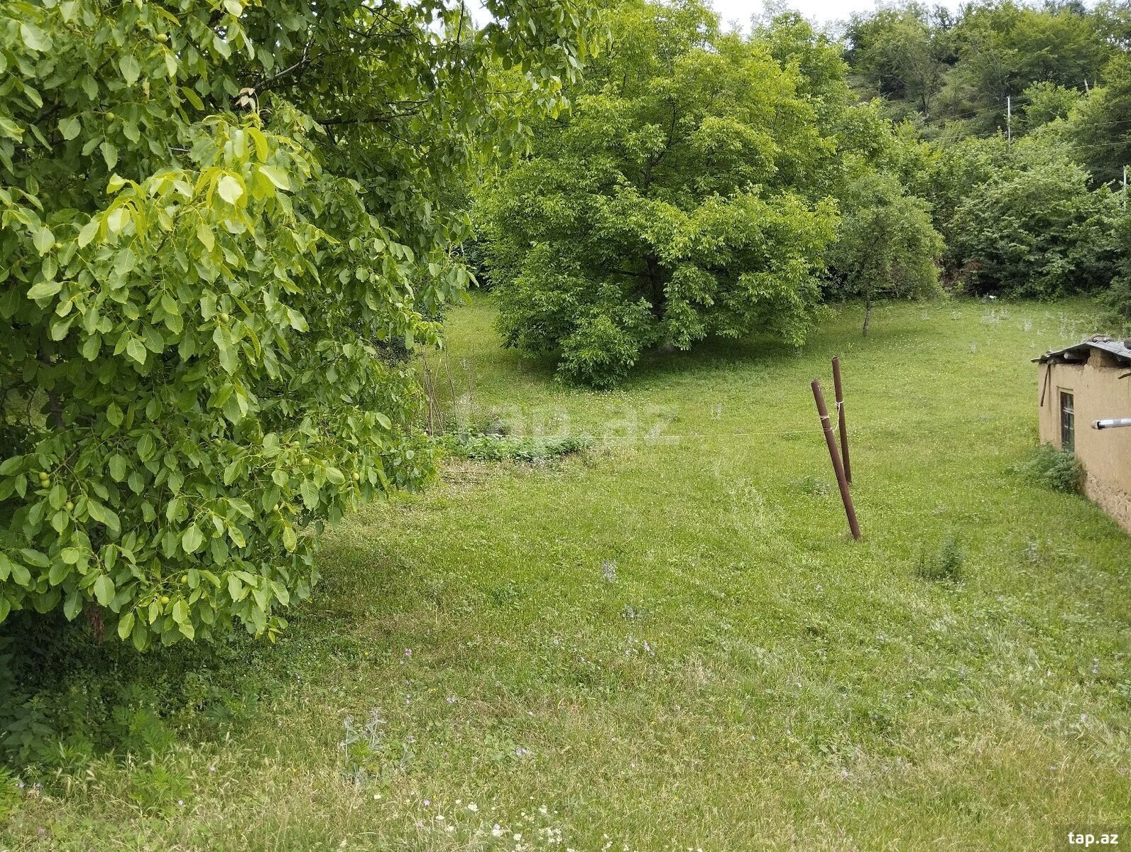 Həyət evi, Möhüc kəndi
