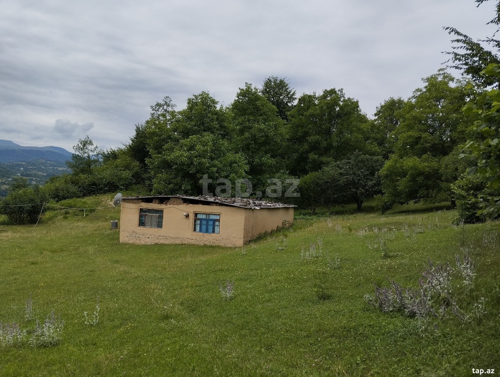 Həyət evi, Möhüc kəndi