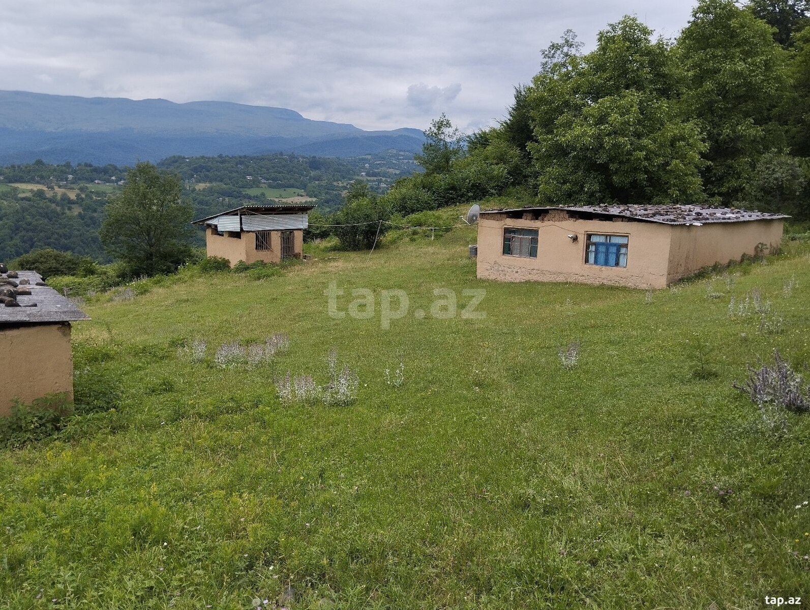Həyət evi, Möhüc kəndi