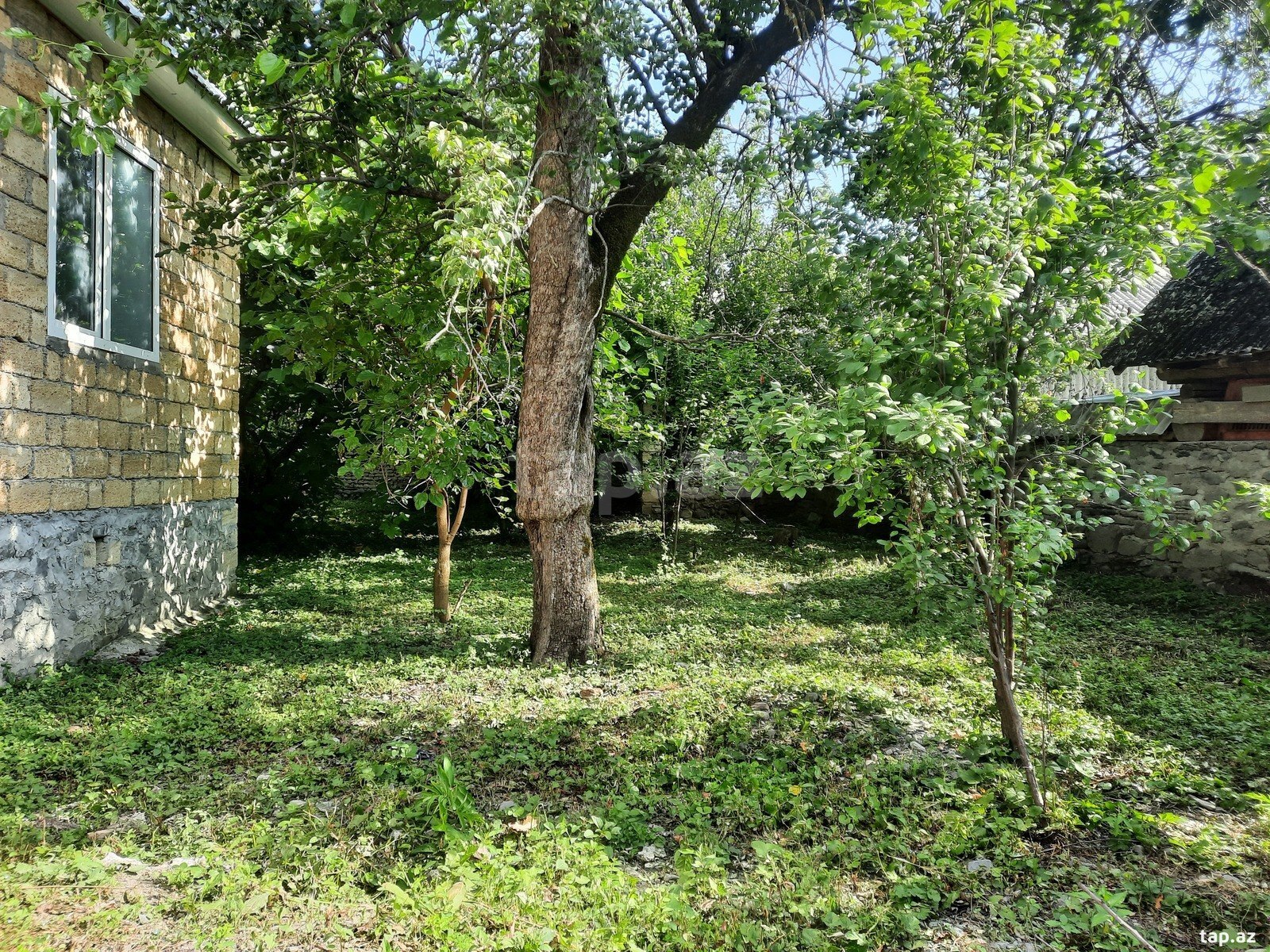 Həyət evi, Qəbələ ş. (7)