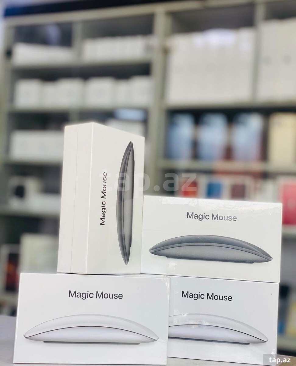 Magic Mouse (8)