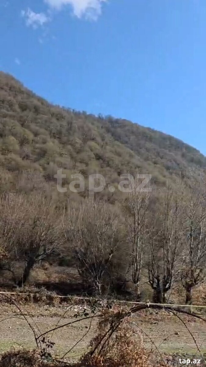 3 sot torpaq sahəsi, Qəbələ r.