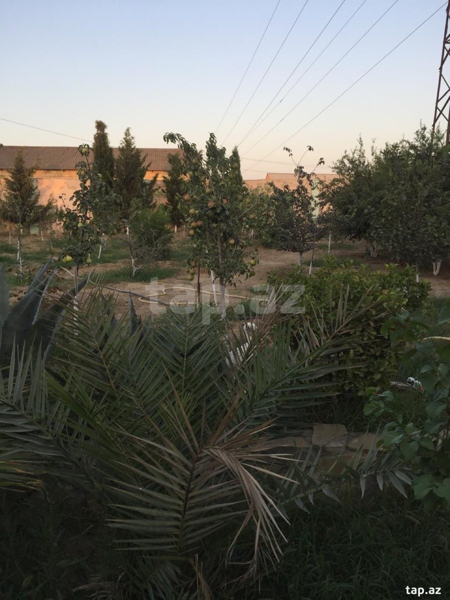 Bağ evi, Maştağa qəs. (11)