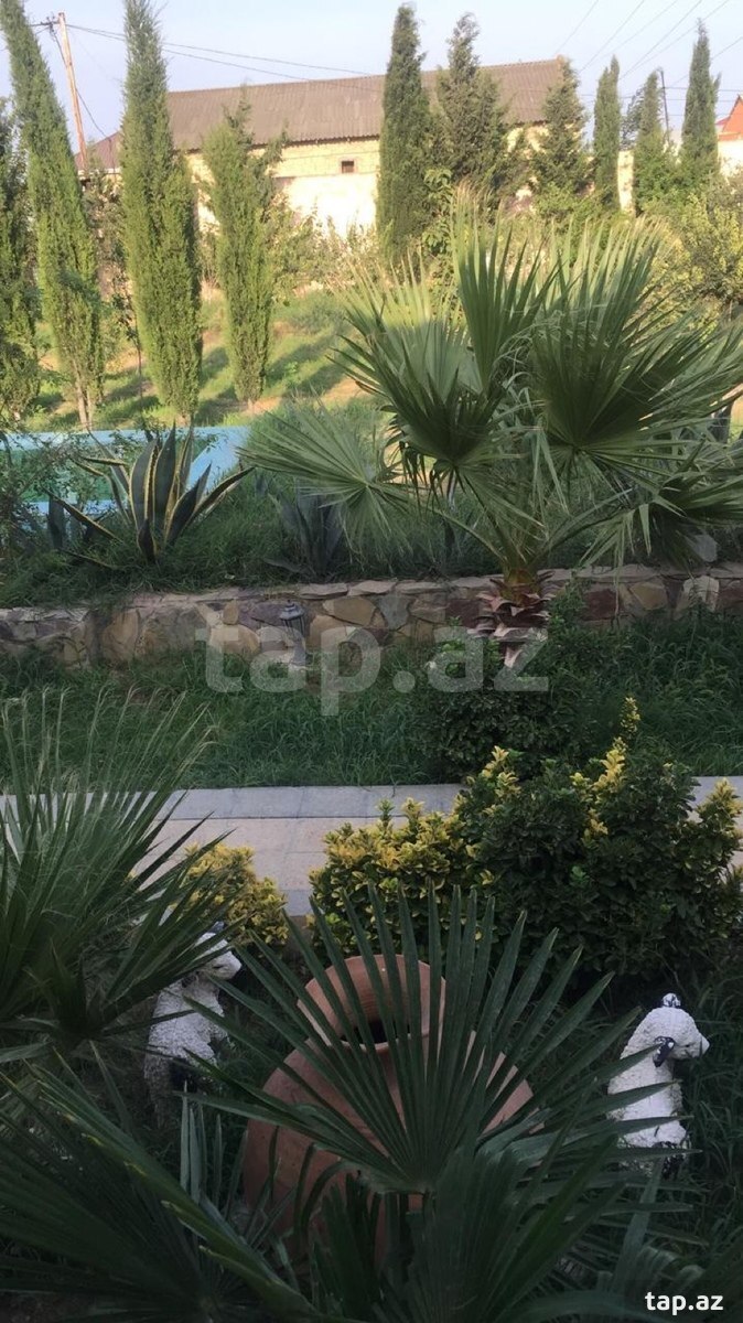 Bağ evi, Maştağa qəs. (4)