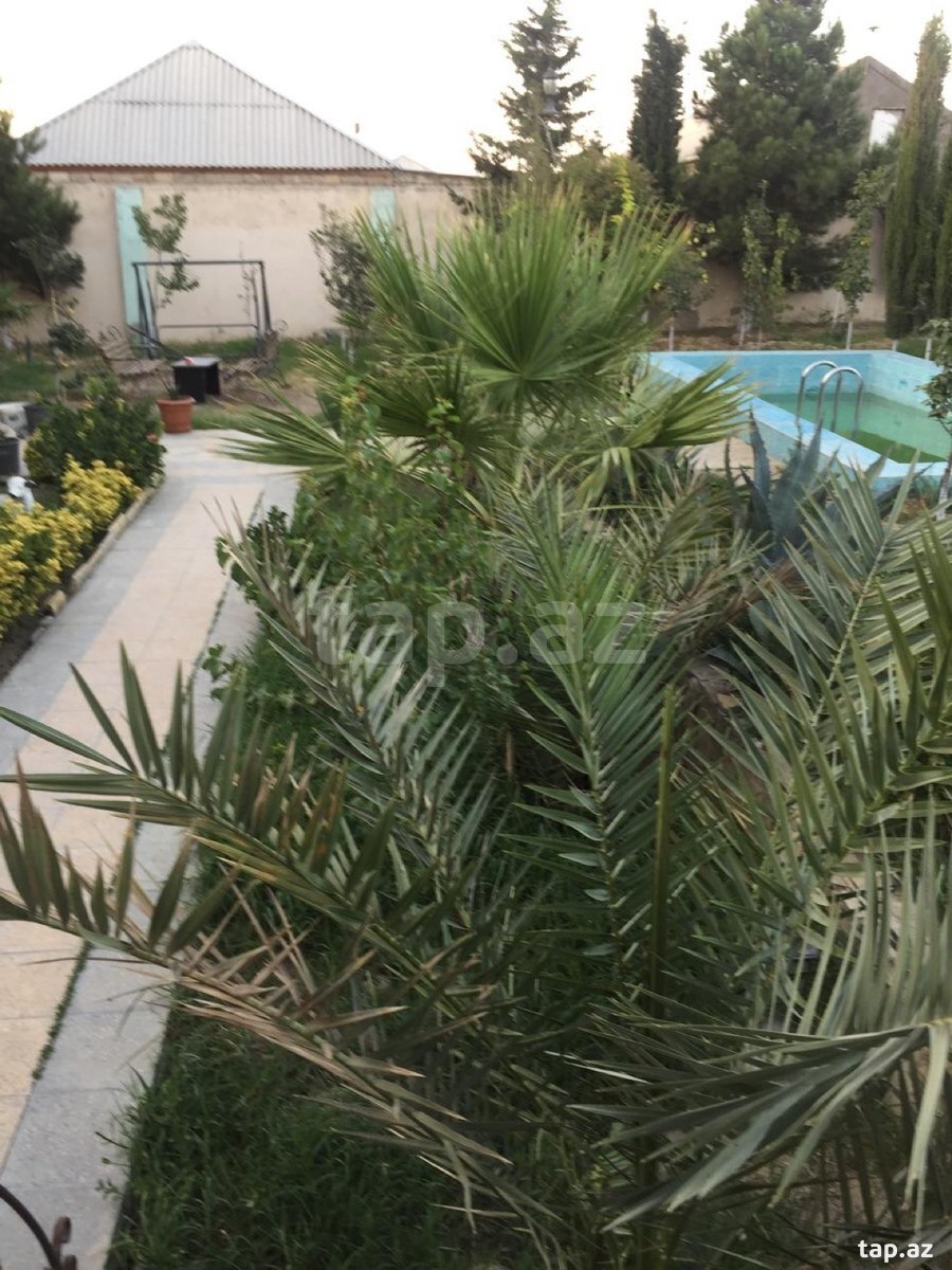 Bağ evi, Maştağa qəs. (8)