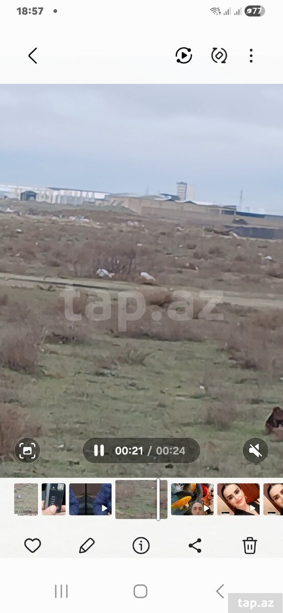 Torpaq satılır, Bakı
