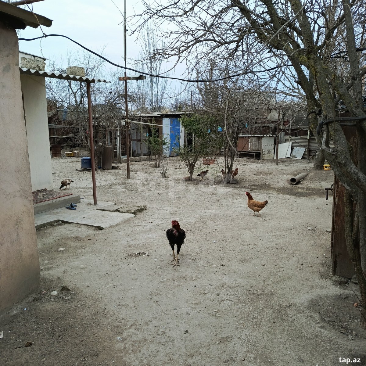 Həyət evi, Qaraçuxur qəs. (5)