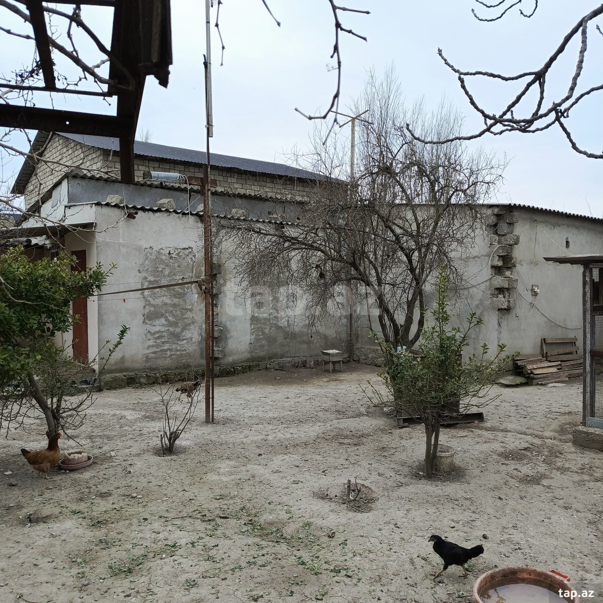 Həyət evi, Qaraçuxur qəs.