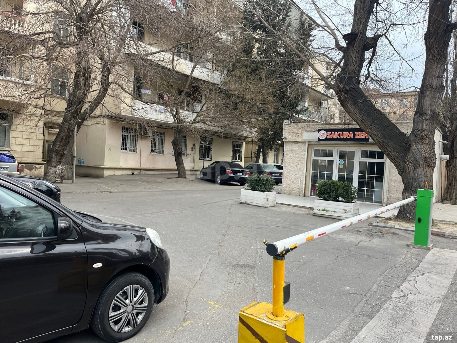 Qaraj icarəyə verilir, Aşıq Molla Cümə k. (9)