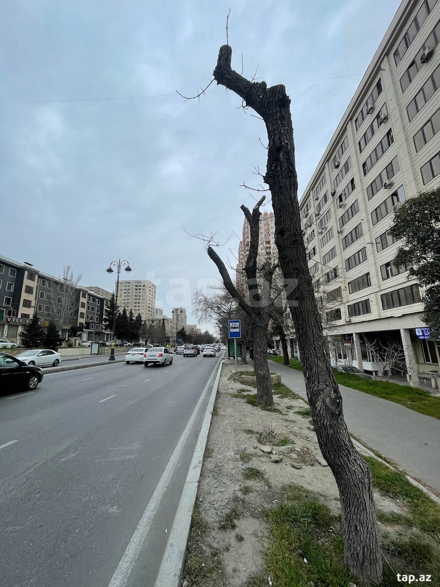 3-otaqlı mənzil kirayə verilir, İnşaatçılar m., 55 m² (8)