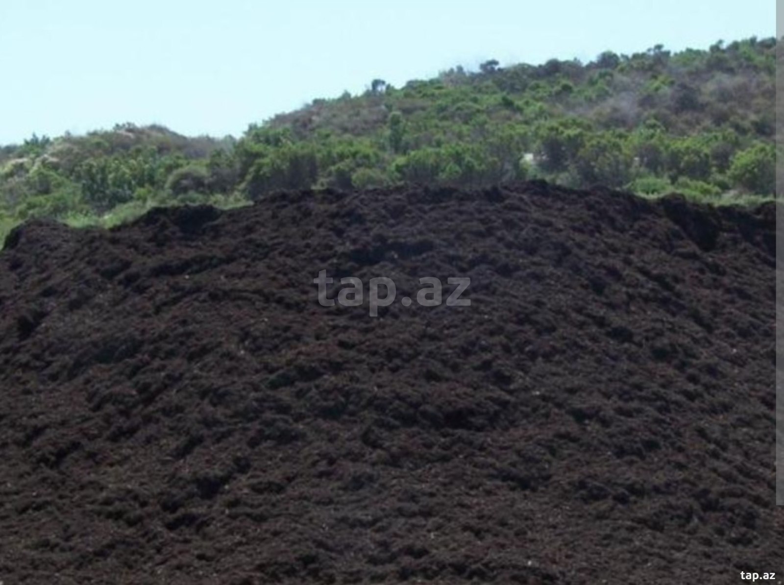 Qara torpaq