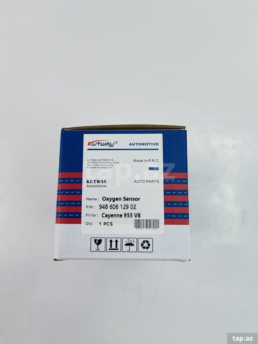 Porsche Cayenne 955-4.5 katalizator sensoru (2)