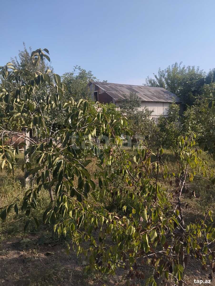 Həyət evi, Tovuz r.