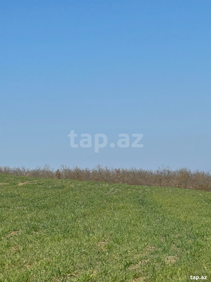 2000 sot torpaq sahəsi, Qusar r. (2)