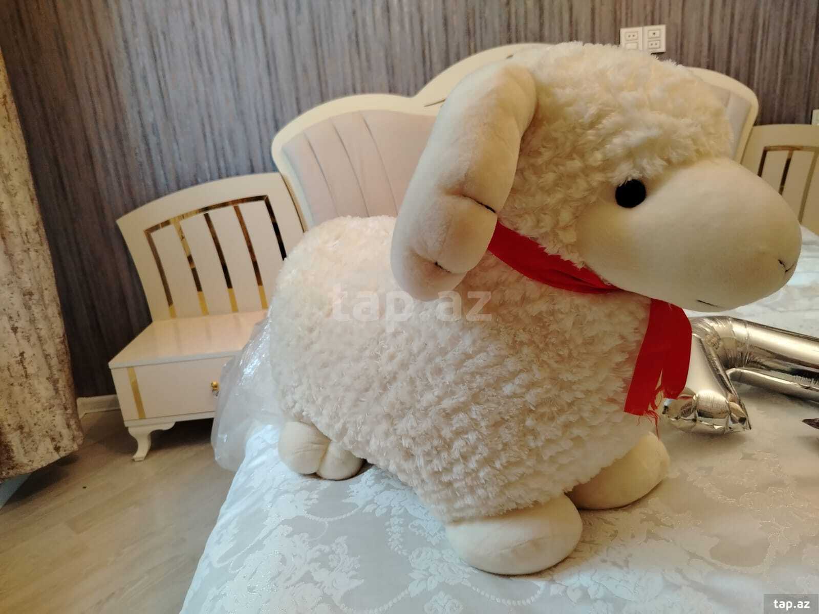 Yumşaq oyuncaq  (2)