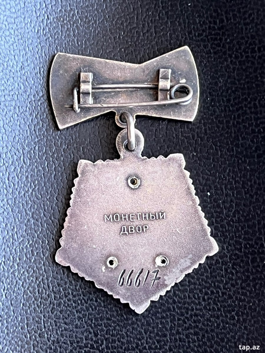 Gümüş medal (3)