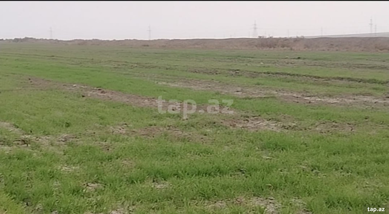 500 sot torpaq sahəsi, Hacıqabul r.