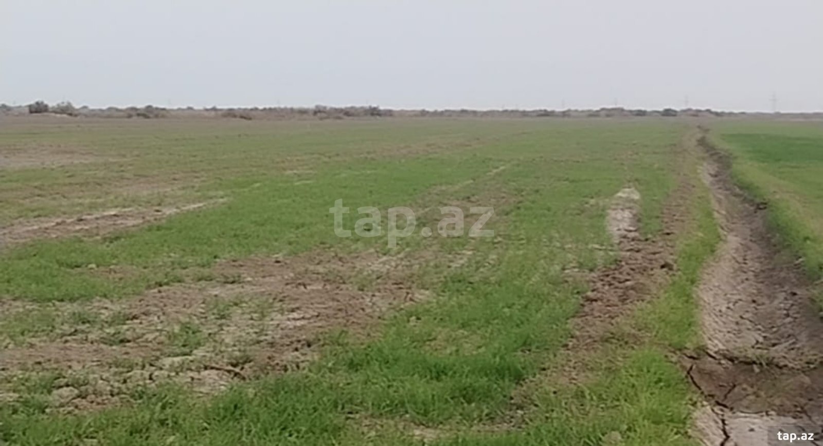 500 sot torpaq sahəsi, Hacıqabul r. (3)