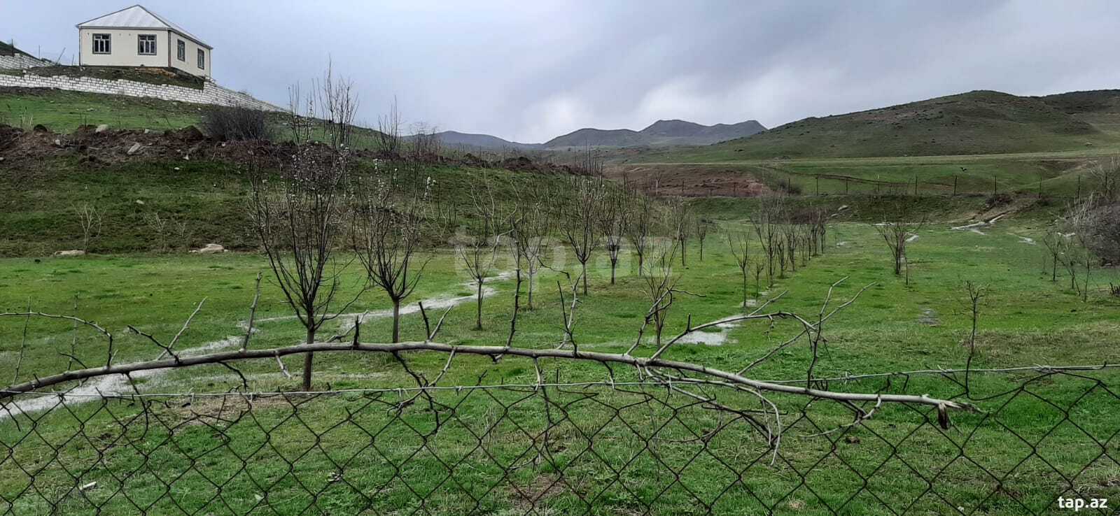 Həyət evi, Tovuz r. (3)