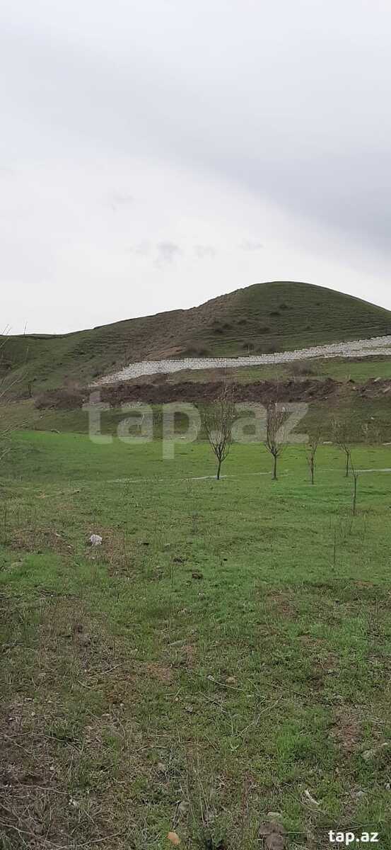 Həyət evi, Tovuz r. (2)