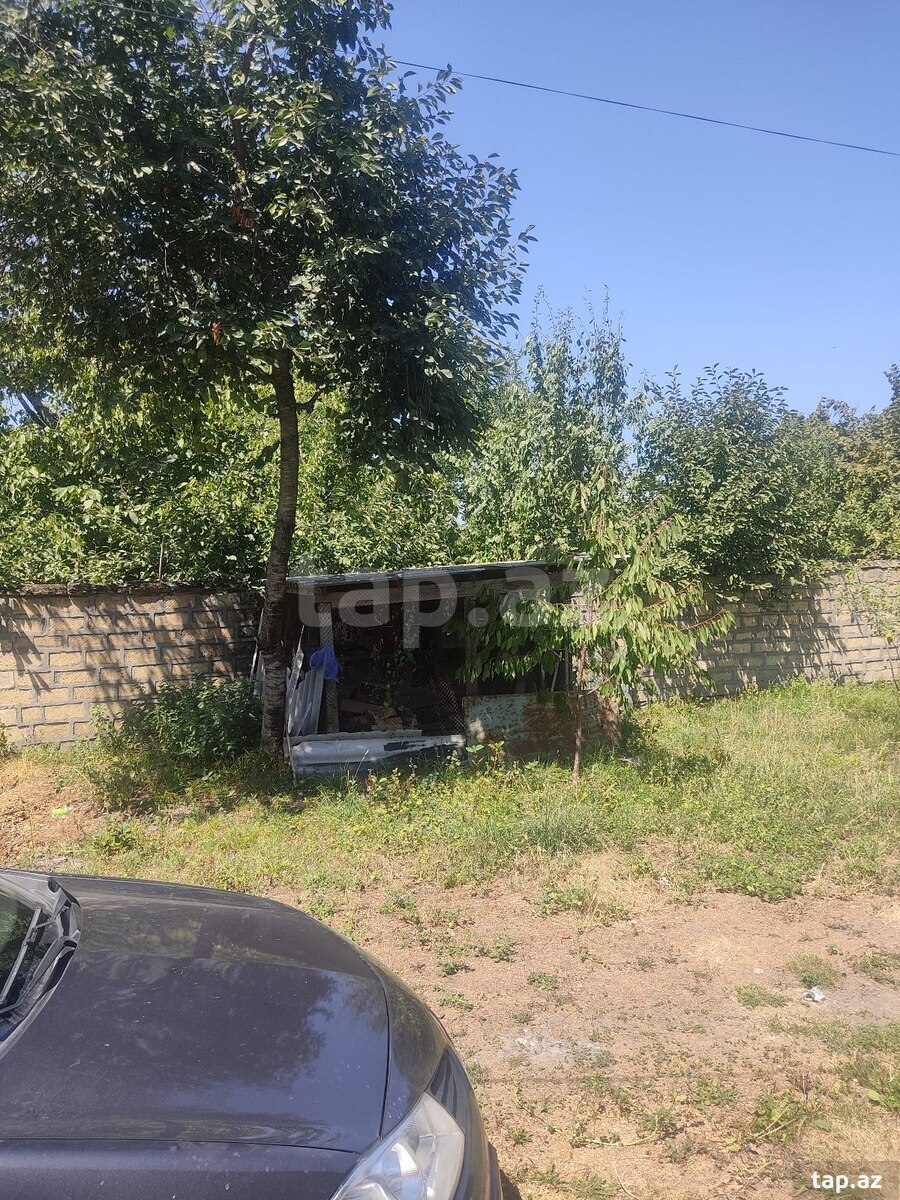 Həyət evi, Qəbələ ş.
