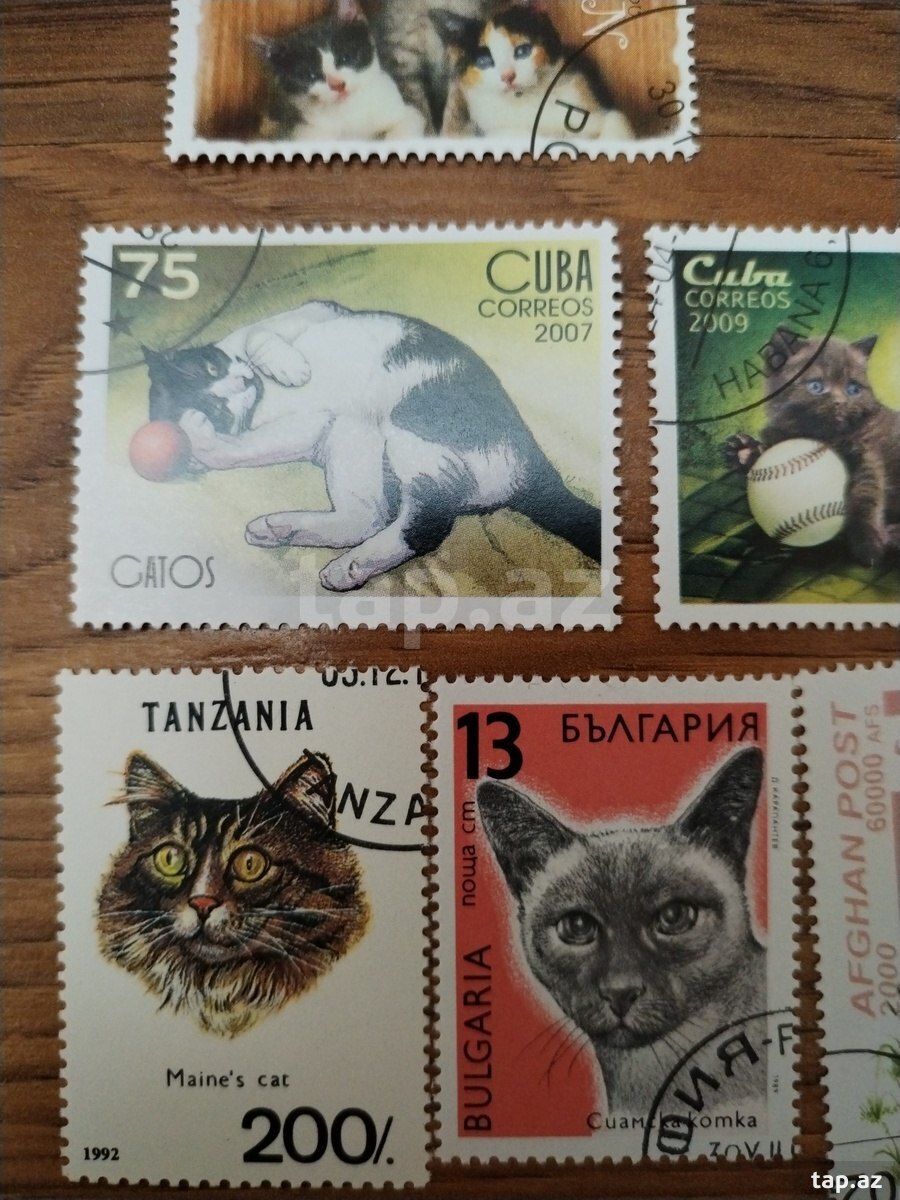 Pişik markaları (3)