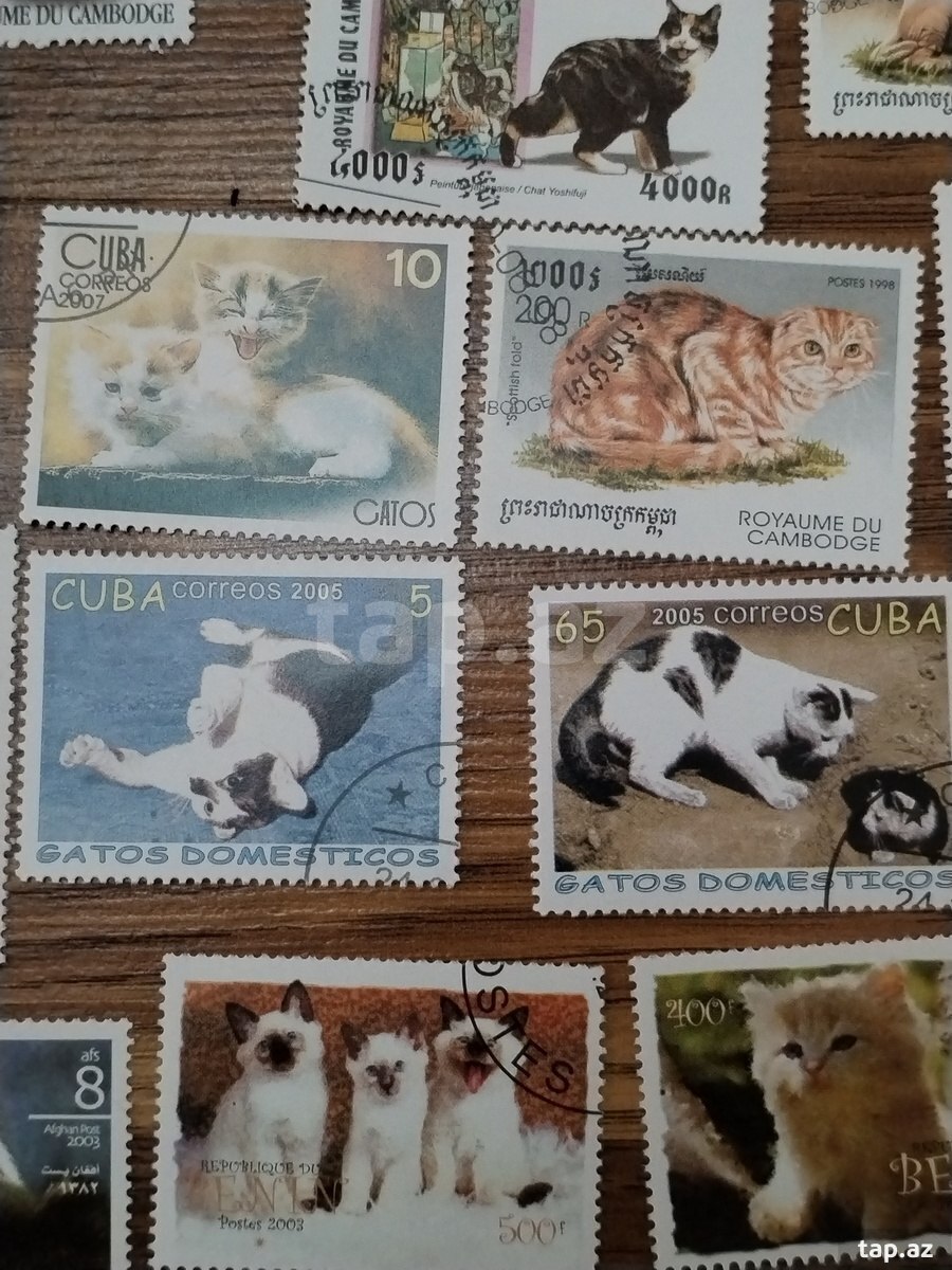 Pişik markaları (7)