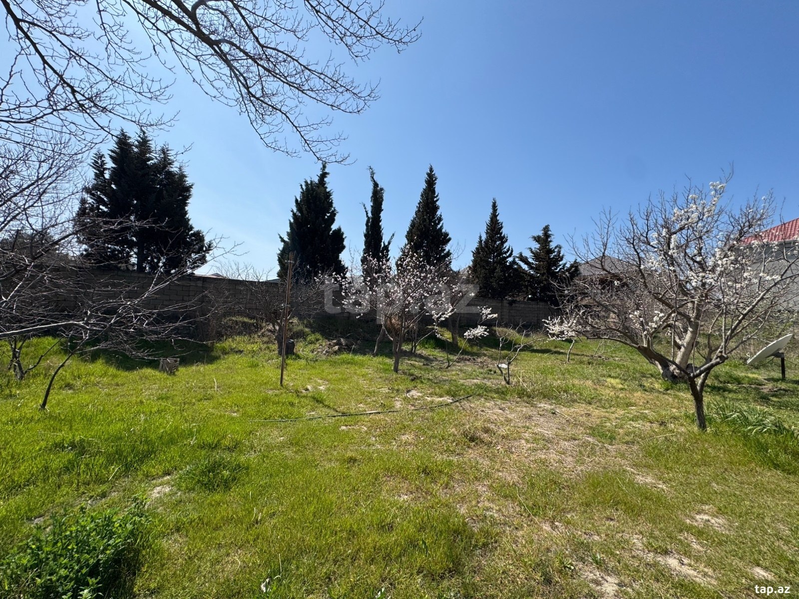 Torpaq satılır, Corat, Sumqayıt