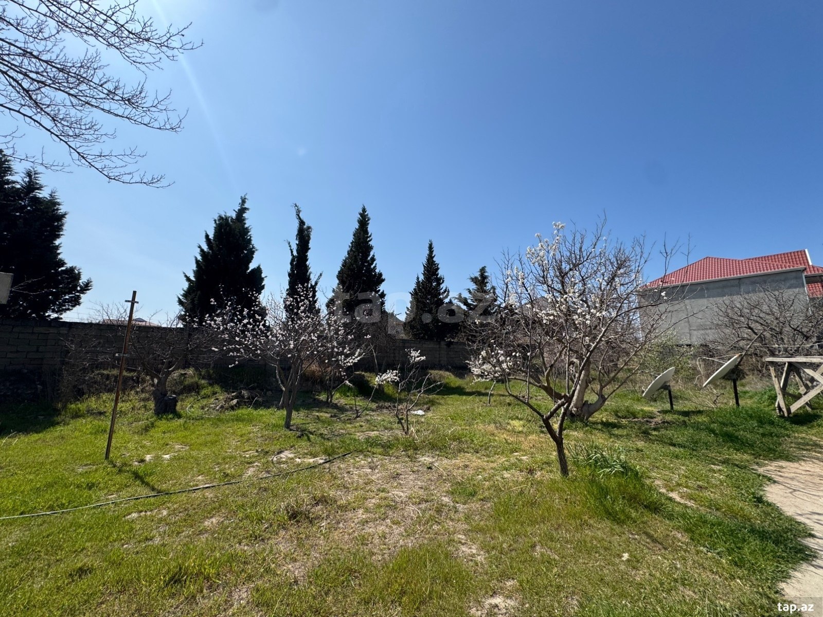 Torpaq satılır, Corat, Sumqayıt