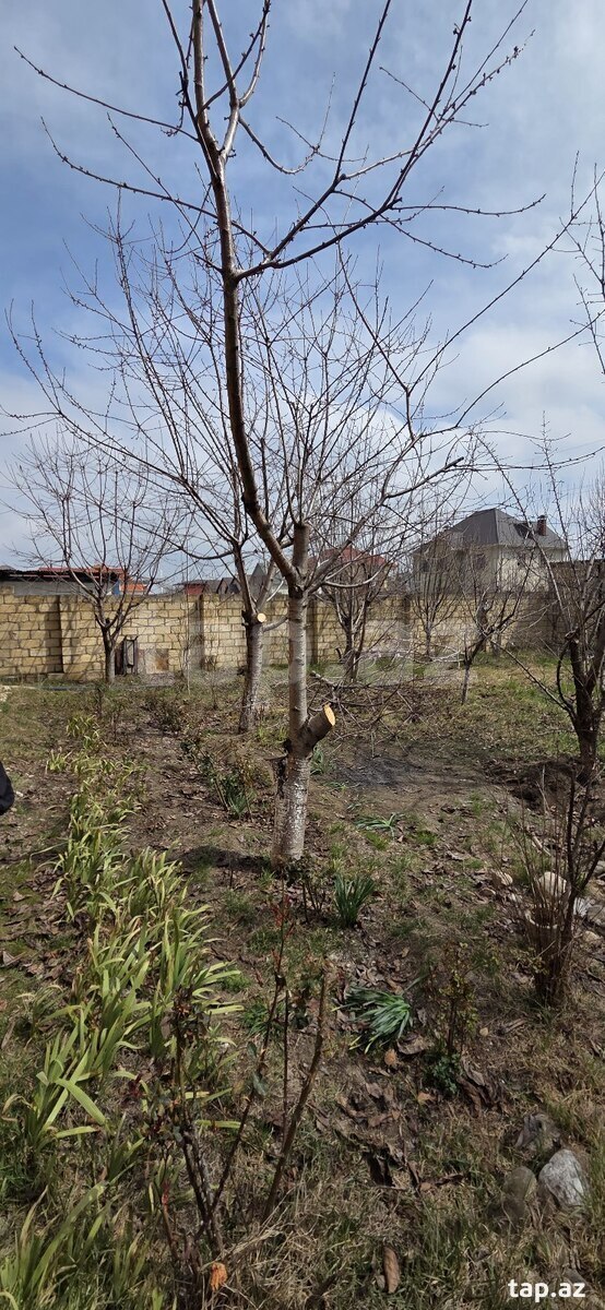 Дом, Гусарский р. (21)