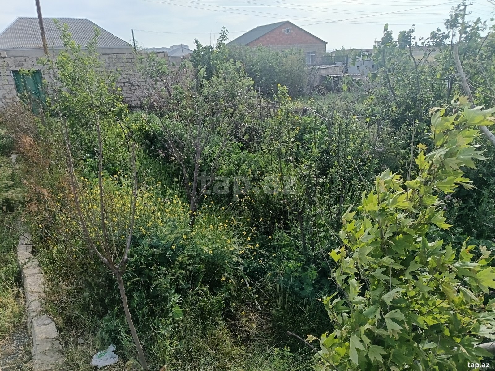 Obyekt, Masazır qəs. (17)