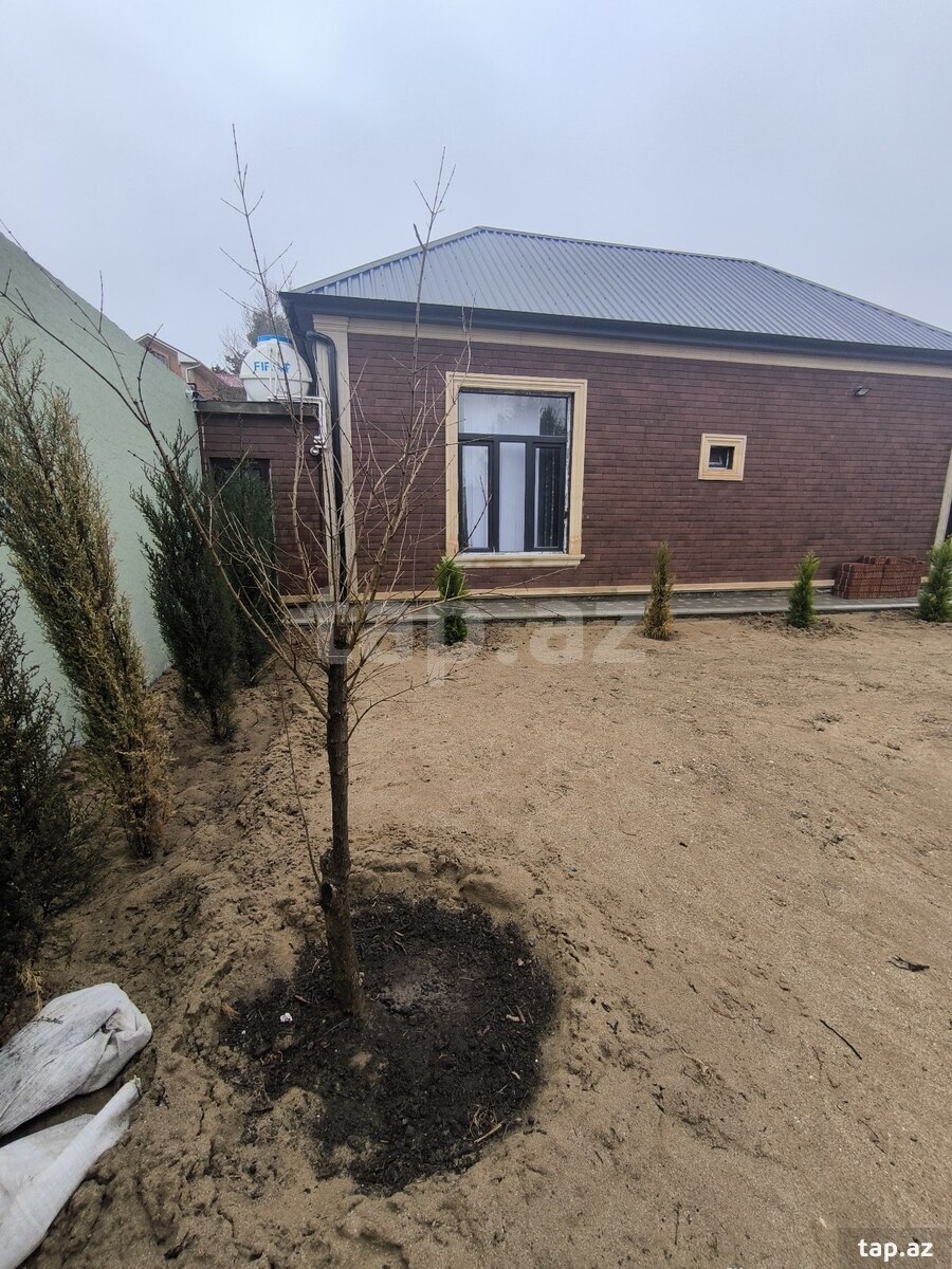 Bağ evi, Novxanı qəs. (6)