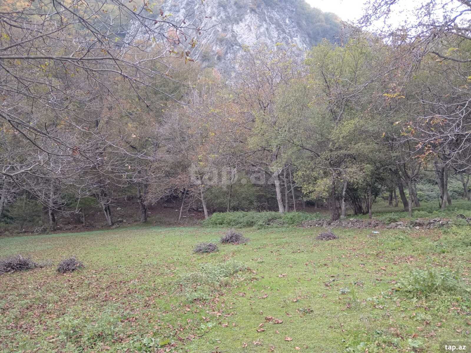 12 sot torpaq sahəsi, Oğuz r.
