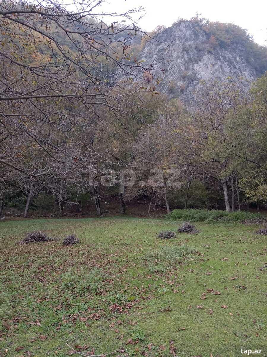 12 sot torpaq sahəsi, Oğuz r.